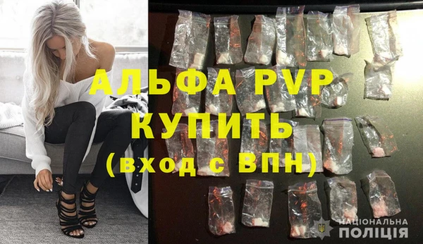 ПСИЛОЦИБИНОВЫЕ ГРИБЫ Медногорск