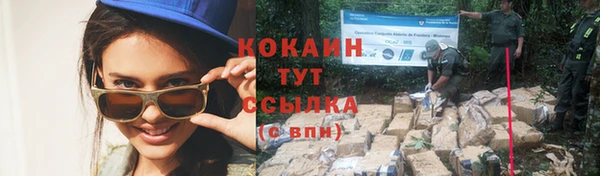 ПСИЛОЦИБИНОВЫЕ ГРИБЫ Медногорск