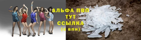 СК Медвежьегорск