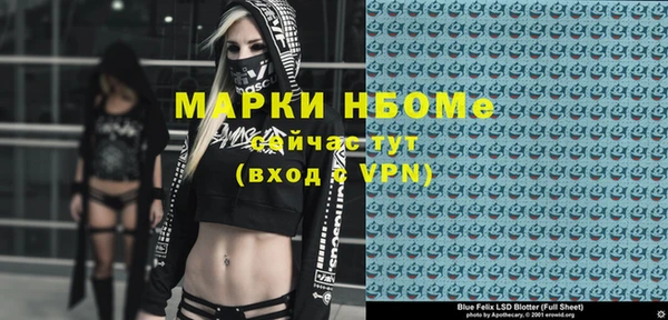 прущие грибы Михайловск