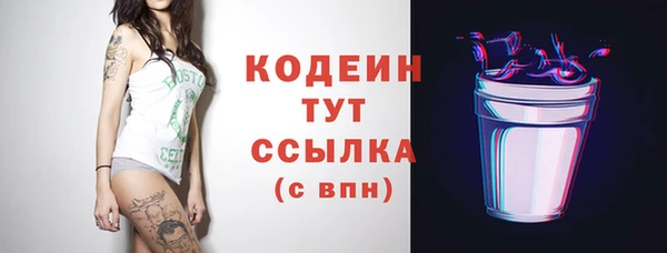 СК Медвежьегорск