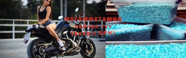 прущие грибы Михайловск