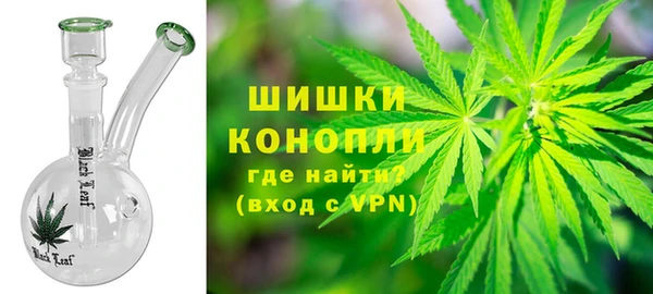 СК Медвежьегорск